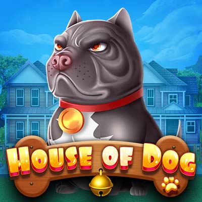 DSTPLAY - HOUSE OF DOG